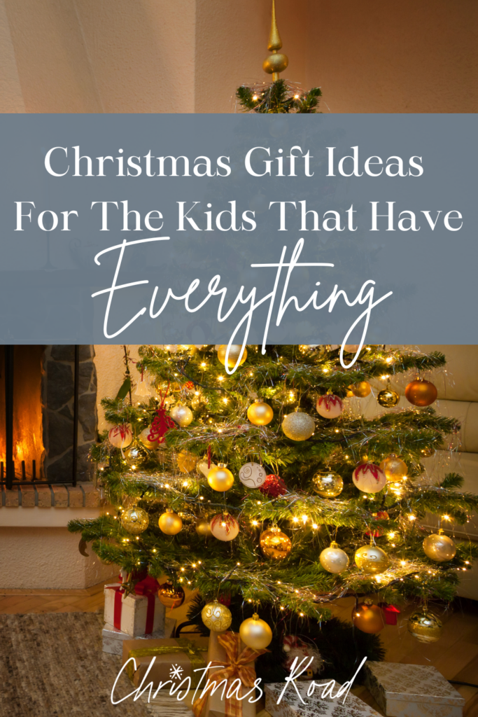 Christmas Gift Ideas for the kid that has everything